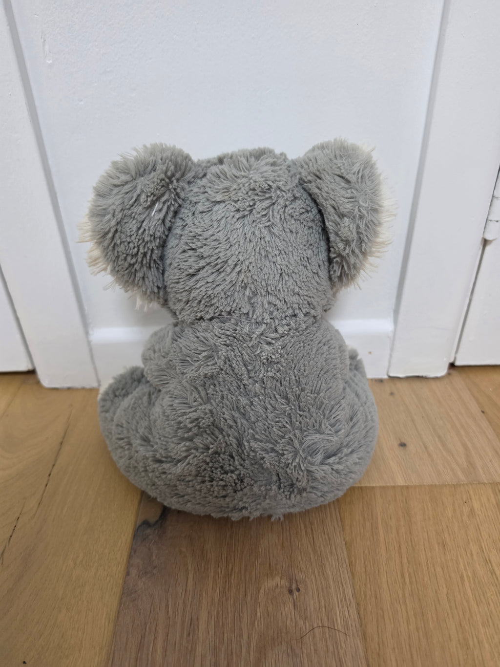Toy10
