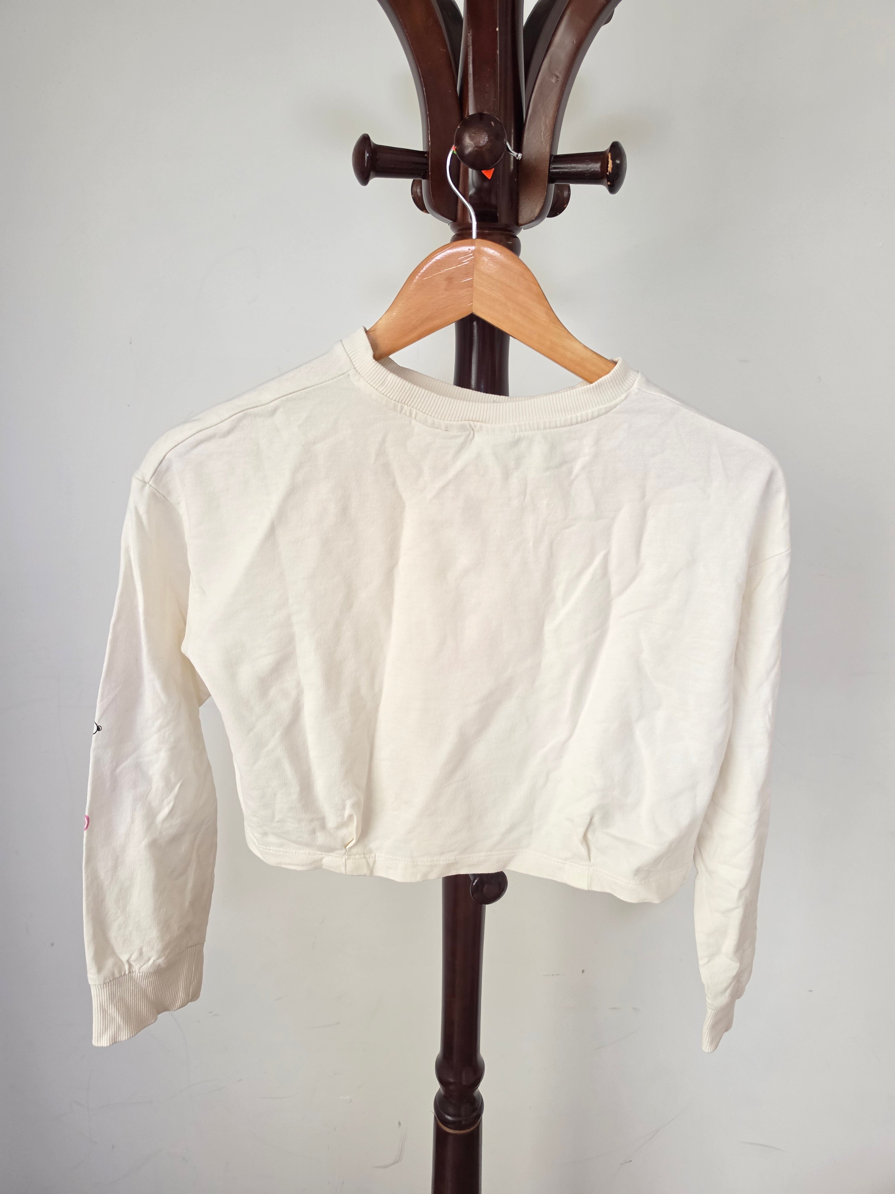 Zara japanese snoppy jumper